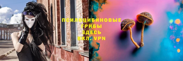 гидропоника Корсаков