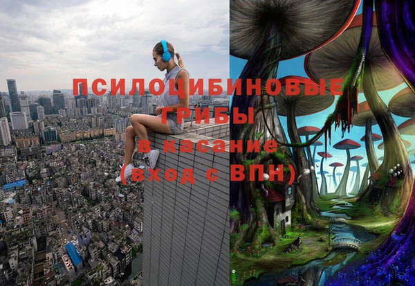 PSILOCYBIN Балахна