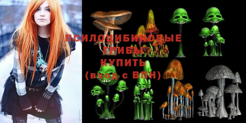 сайты даркнета формула  Бобров  omg зеркало  Псилоцибиновые грибы мухоморы  купить наркотик 