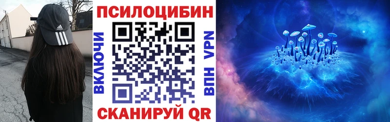 Галлюциногенные грибы MAGIC MUSHROOMS  продажа наркотиков  Бобров 